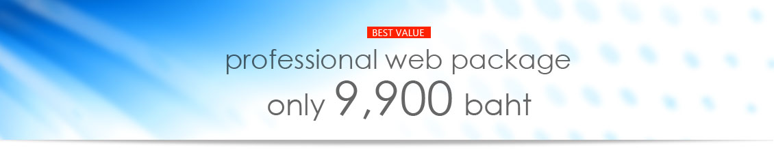Professional web package, only 9900 baht g7-banner-1130-3