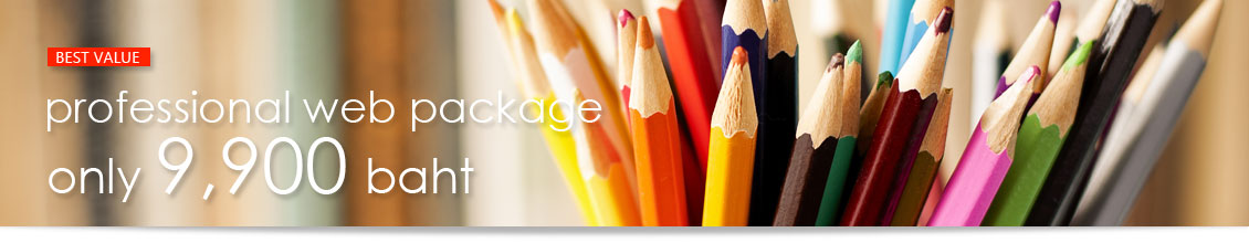 Professional web package, only 9900 baht g7-banner-1130-7